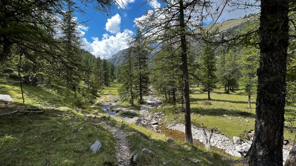 Randonnée - Parc du Mercantour
